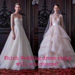 Which wedding dress style will you choose?