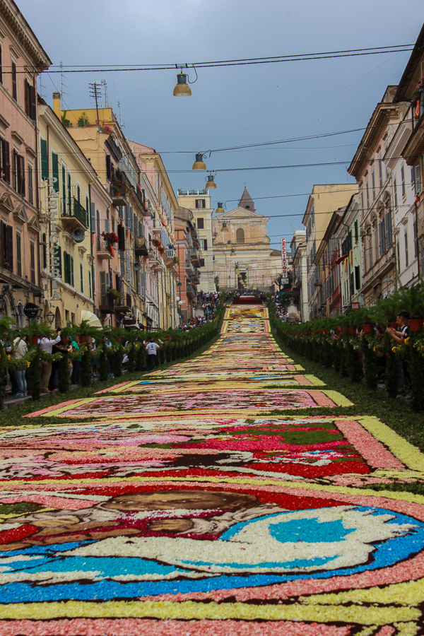 Festival season: infiorata