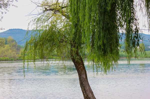photo diary: Road trip to the mountains